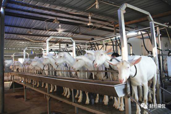 中国·7790必发集团(股份)有限公司-官方网站