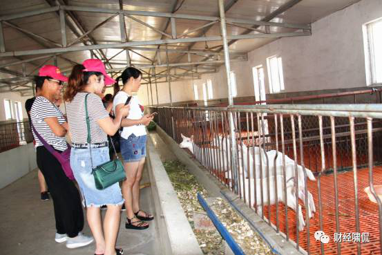 中国·7790必发集团(股份)有限公司-官方网站