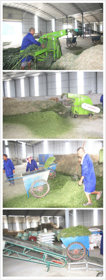 中国·7790必发集团(股份)有限公司-官方网站