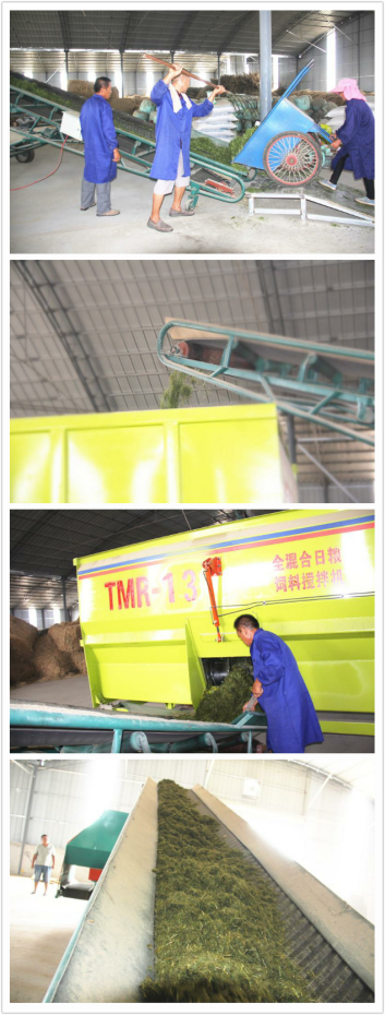 中国·7790必发集团(股份)有限公司-官方网站