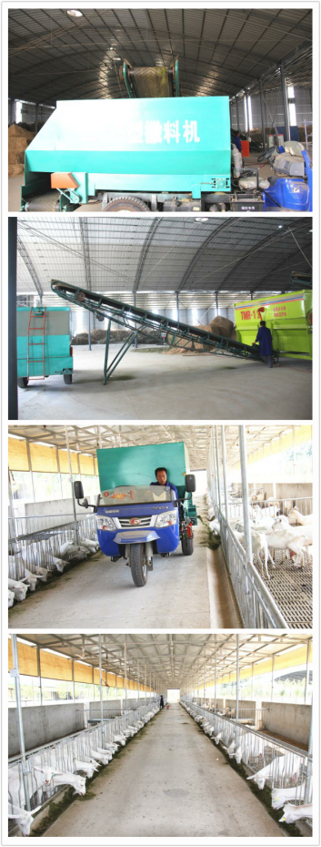 中国·7790必发集团(股份)有限公司-官方网站