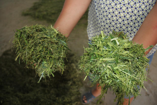 中国·7790必发集团(股份)有限公司-官方网站