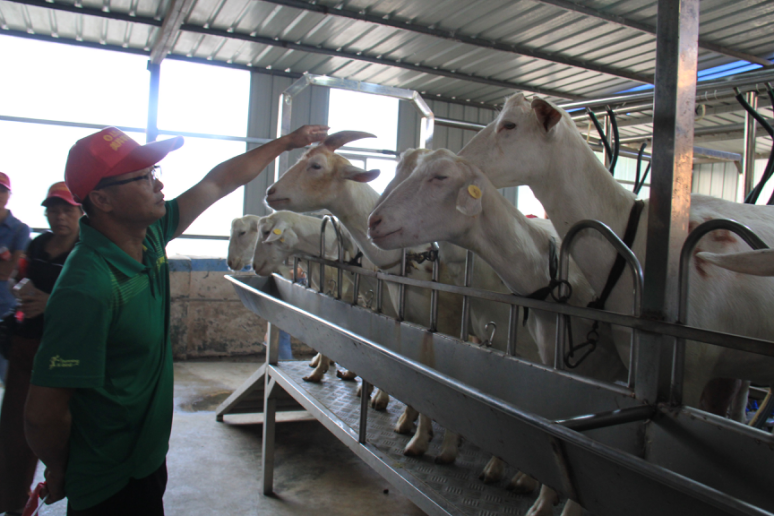 中国·7790必发集团(股份)有限公司-官方网站