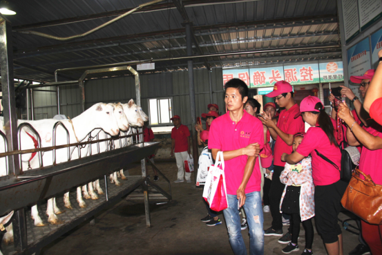 中国·7790必发集团(股份)有限公司-官方网站