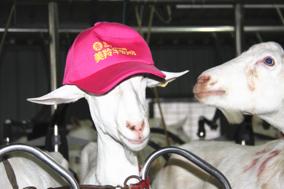 中国·7790必发集团(股份)有限公司-官方网站