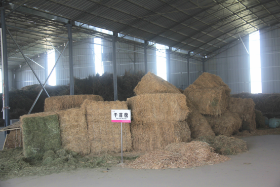 中国·7790必发集团(股份)有限公司-官方网站