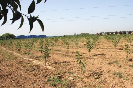 中国·7790必发集团(股份)有限公司-官方网站