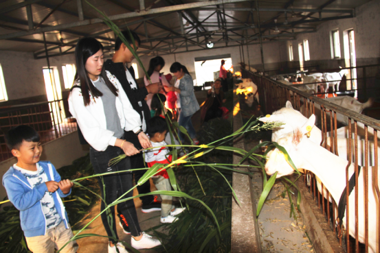 中国·7790必发集团(股份)有限公司-官方网站