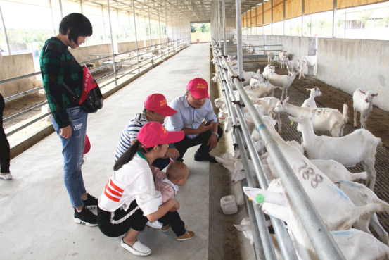 中国·7790必发集团(股份)有限公司-官方网站