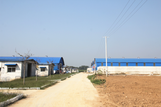 中国·7790必发集团(股份)有限公司-官方网站