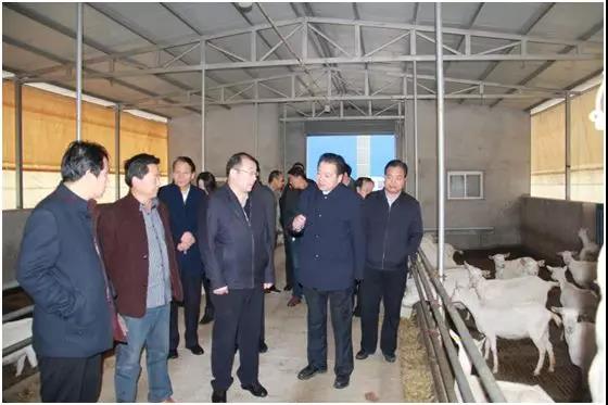 中国·7790必发集团(股份)有限公司-官方网站