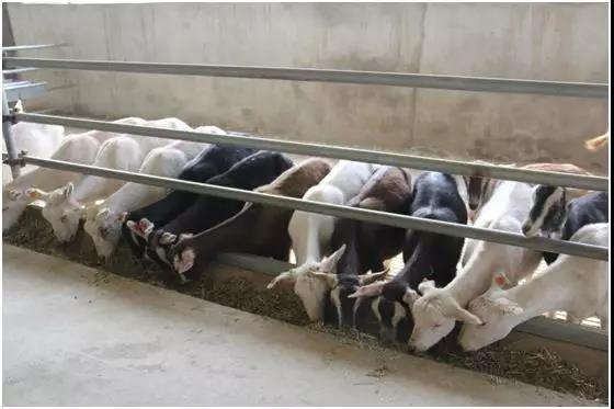 中国·7790必发集团(股份)有限公司-官方网站