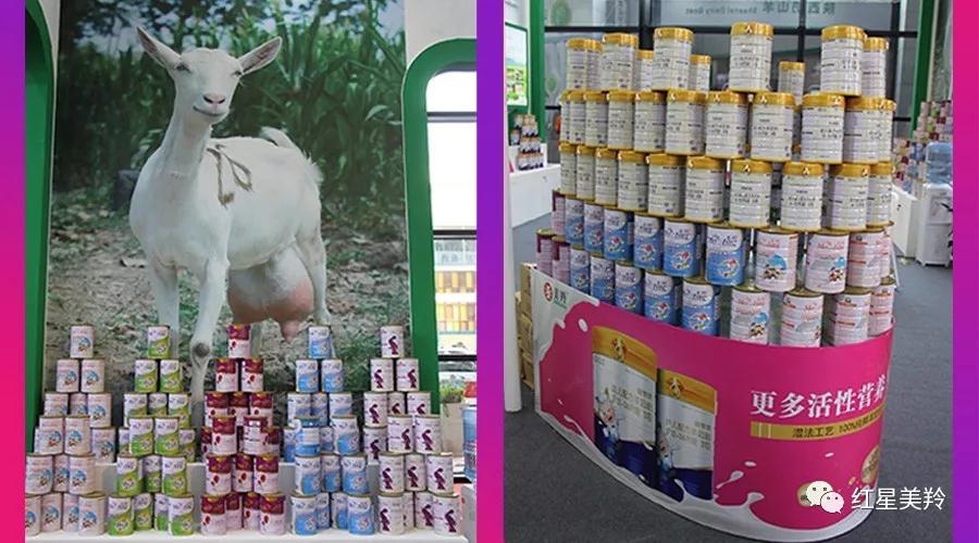 中国·7790必发集团(股份)有限公司-官方网站