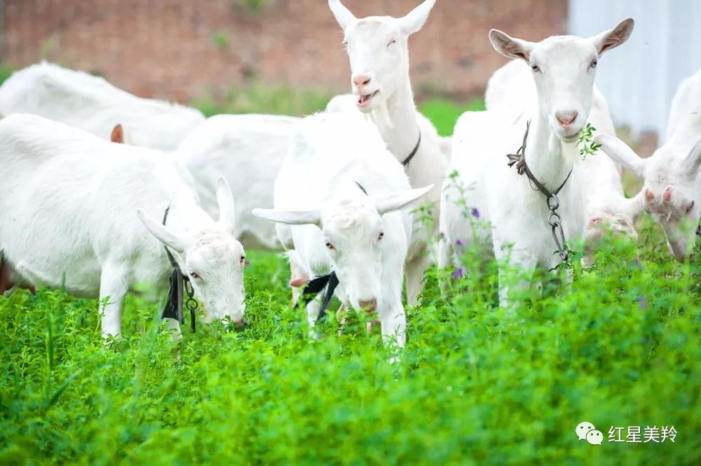 中国·7790必发集团(股份)有限公司-官方网站