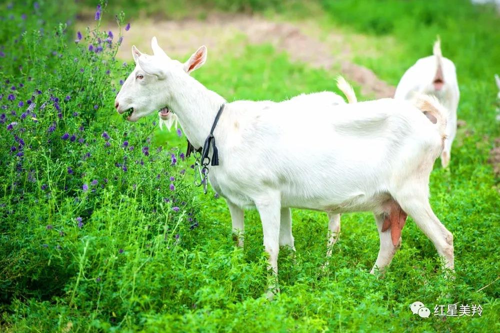 中国·7790必发集团(股份)有限公司-官方网站