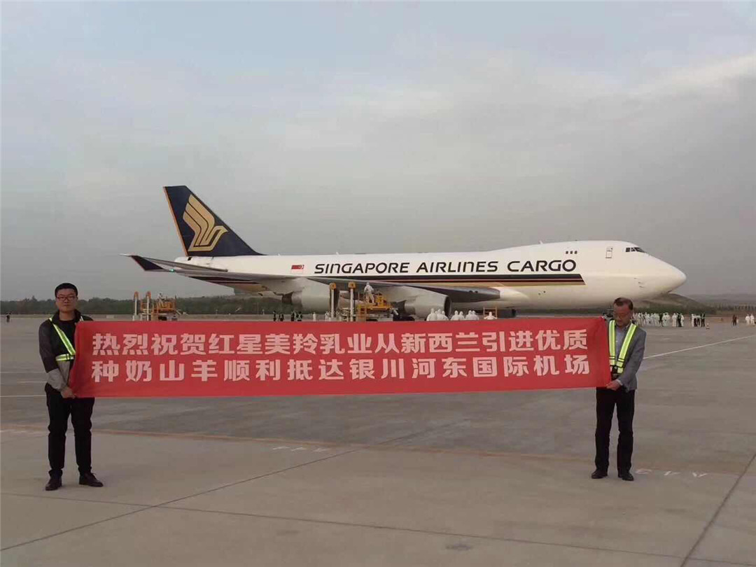 中国·7790必发集团(股份)有限公司-官方网站