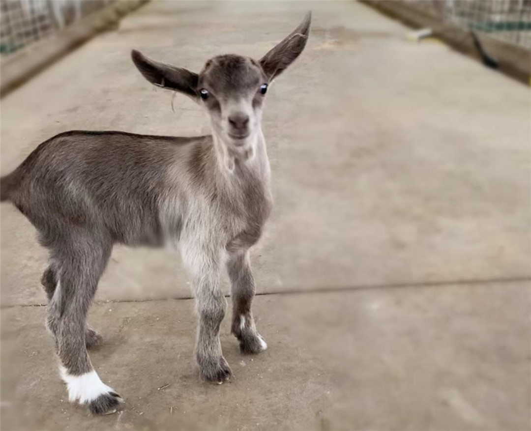 中国·7790必发集团(股份)有限公司-官方网站