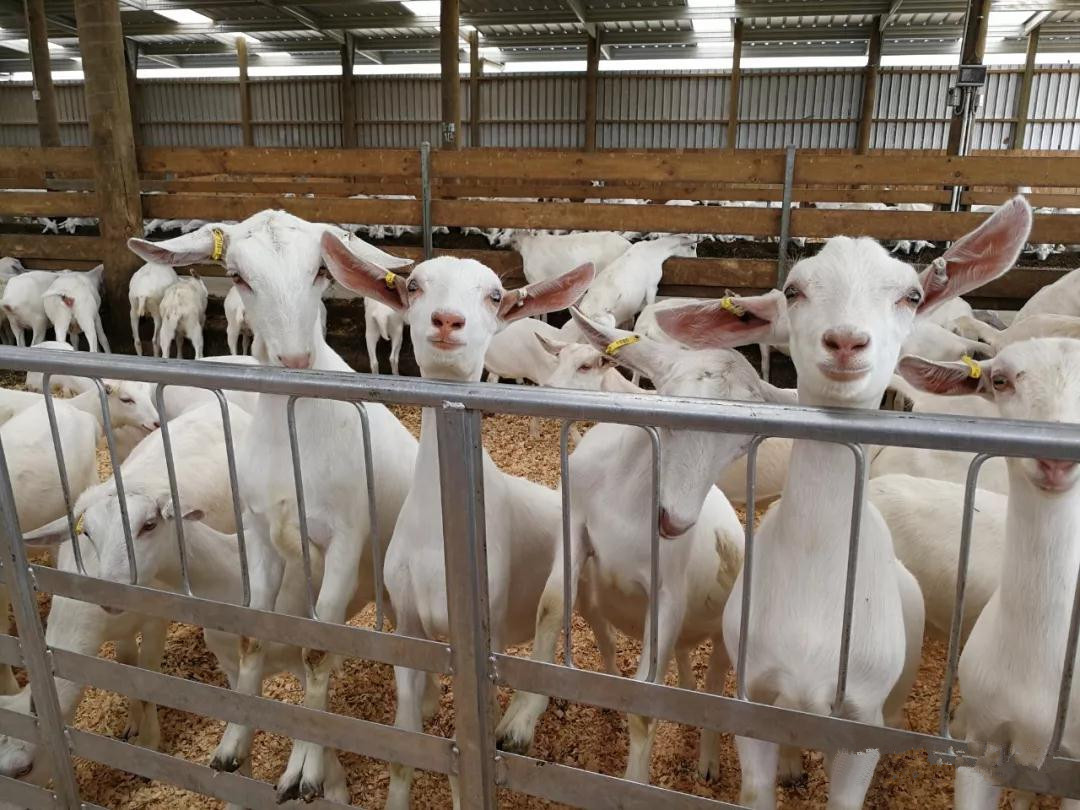 中国·7790必发集团(股份)有限公司-官方网站