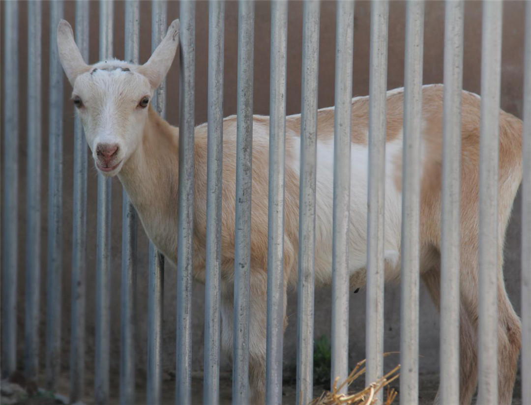 中国·7790必发集团(股份)有限公司-官方网站