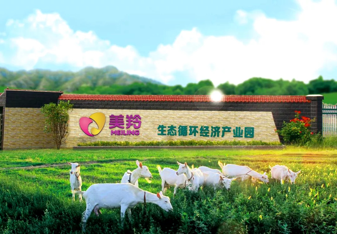 中国·7790必发集团(股份)有限公司-官方网站