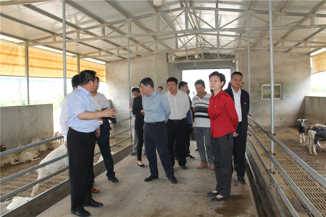 中国·7790必发集团(股份)有限公司-官方网站